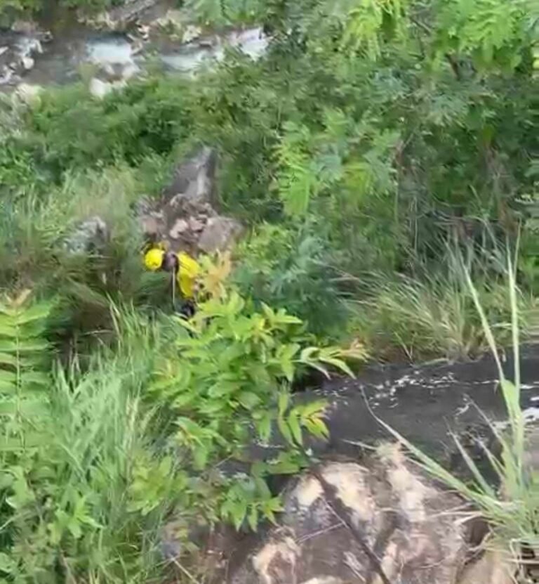 पौड़ी के पाबों में खाई में गिरा युवक, SDRF ने 500 मीटर गहरी खाई से किया शव बरामद